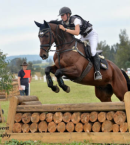 Performance Horses | Eventing